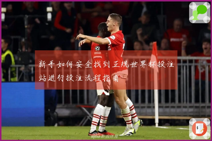 新手如何安全找到正规世界杯投注站进行投注流程指南