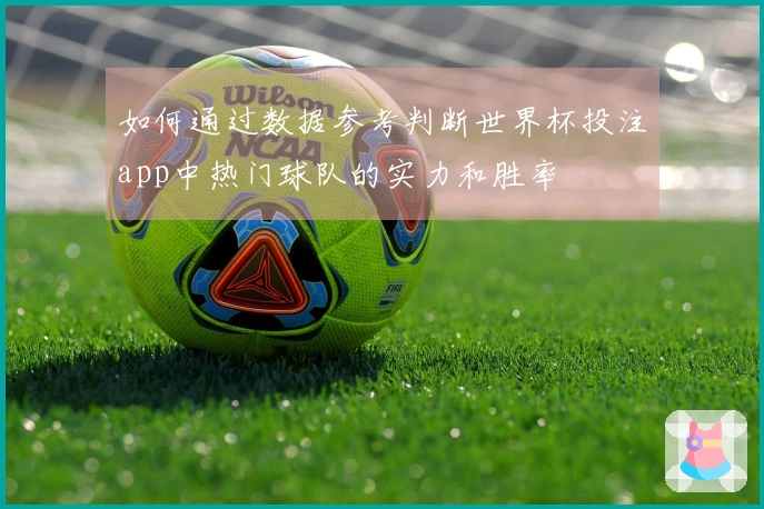 如何通过数据参考判断世界杯投注app中热门球队的实力和胜率